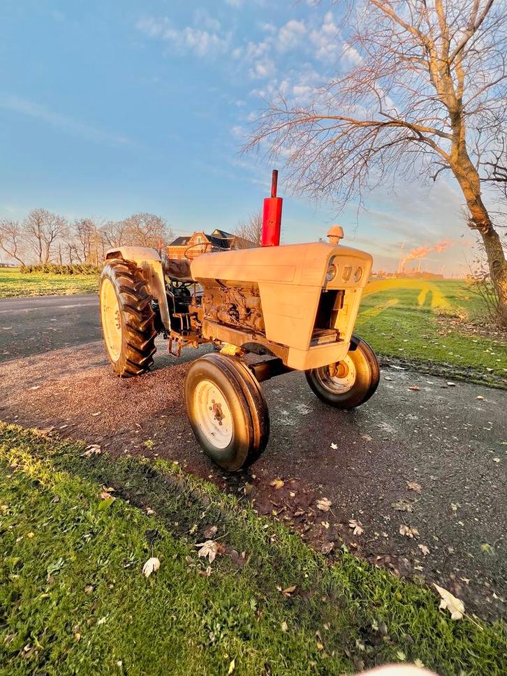 David Brown 996 Tractor - Oldtimer, Zakelijke goederen, Agrarisch | Tractoren, meer dan 10000, Overige merken, 80 tot 120 Pk, Oldtimer