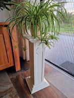 Hardhouten plantenzuilen, Huis en Inrichting, Woonaccessoires | Zuilen en Pilaren, Ophalen, Gebruikt