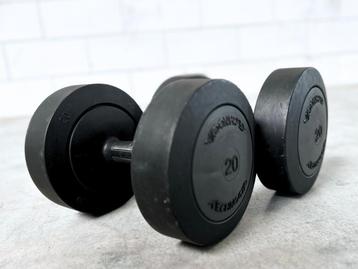 Technogym Dumbbells 20kg beschikbaar voor biedingen
