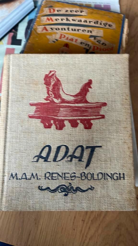 Adat, Renes-Boldingh, Boeken, Romans, Gelezen, Wereld overig, Ophalen