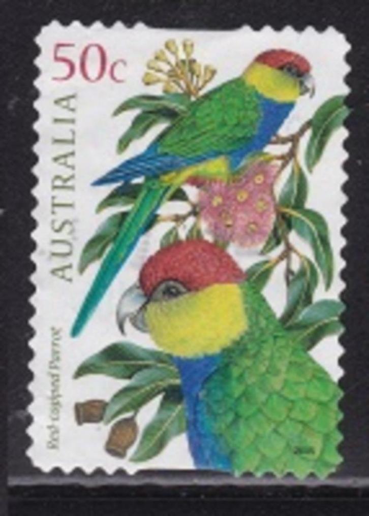 2675 - Australië michel 2414 gestempeld , Papagaai, Postzegels en Munten, Postzegels | Oceanië, Gestempeld, Verzenden