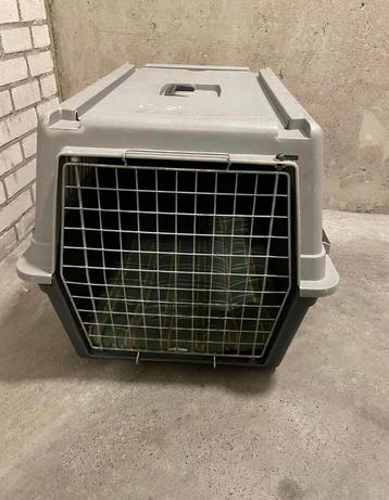 Vervoersbox/bench voor katten of honden beschikbaar voor biedingen
