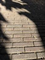 Waaltjes, Tuin en Terras, Tegels en Klinkers, Ophalen, Gebruikt, Beton, Klinkers
