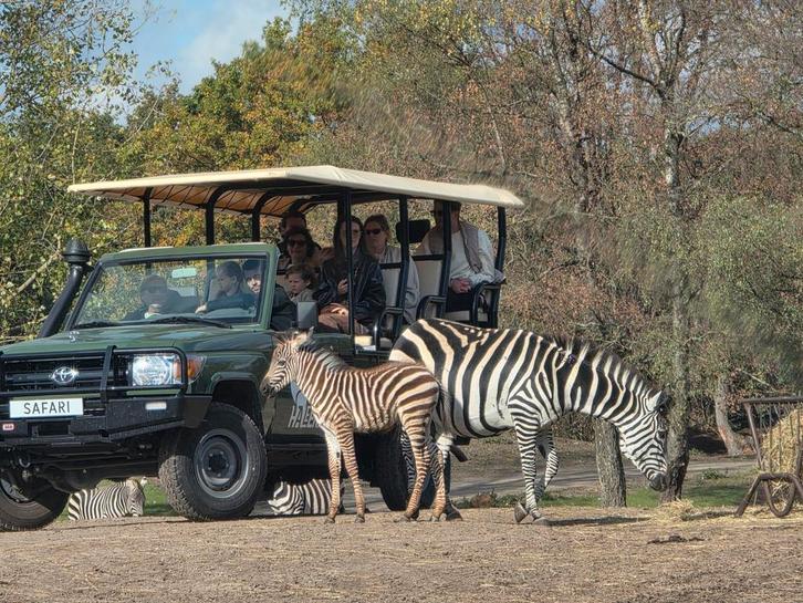 4 tickets voor een Uitstapje naar Keuze, Tickets en Kaartjes, Recreatie | Dierentuinen, Drie personen of meer, Ticket of Toegangskaart