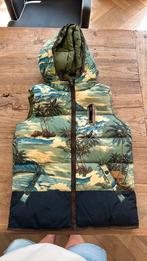 Scotch & shrunk, maat 14, bodywarmer, Nieuw, Verzenden, Zo goed als nieuw, Meisje, Jas