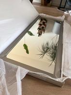 Spiegel 40x100 cm - Nieuw in doos!, Ophalen, Minder dan 50 cm, 100 tot 150 cm, Nieuw