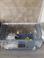 Knaagdierenkooi €20, Dieren en Toebehoren, Ophalen, Zo goed als nieuw, Kooi, Minder dan 60 cm