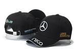 T.k. Zwarte lewis hamilton mercedes racing baseball cap pet, Ophalen of Verzenden, Nieuw, One size fits all, Pet