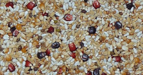 Paloma D09 - Diamond Bergemann Light 20KG, Dieren en Toebehoren, Dierenvoeding, Overige soorten, Ophalen