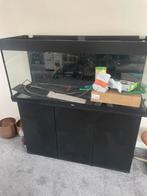 Juwel rio 240 complete hobby, Dieren en Toebehoren, Ophalen, Zo goed als nieuw, Leeg aquarium