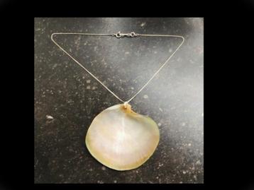 Zilveren Collier met Bijzonder Hanger 7 cm Echte Schelp! beschikbaar voor biedingen