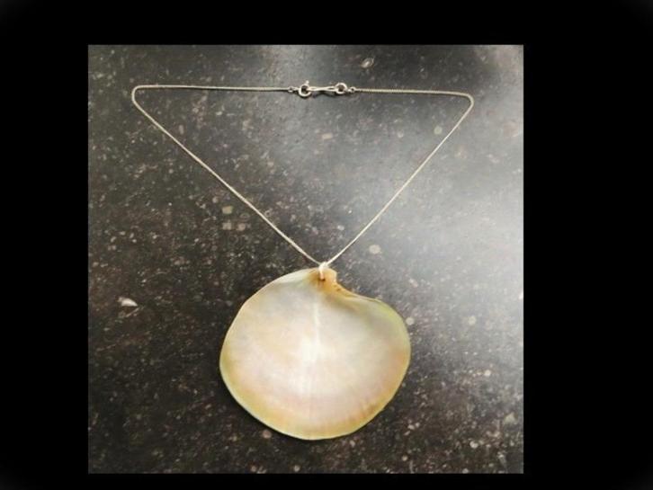 Zilveren Collier met Bijzonder Hanger 7 cm Echte Schelp!, Sieraden, Tassen en Uiterlijk, Antieke sieraden, Ketting, Zilver, Verzenden