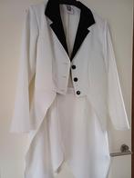 Karnaval slipjas, Ophalen of Verzenden, Zo goed als nieuw, Maat 38/40 (M)