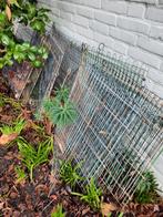 Grote konijnenren, Dieren en Toebehoren, Knaagdieren en Konijnen | Hokken en Kooien, Ophalen, 60 tot 90 cm, Konijn, Ren