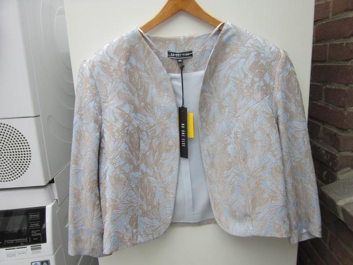 Jasje, Nieuw! Lichtblauw met goudbruin bladeren. Maat 44., Kleding | Dames, Jasjes, Kostuums en Pakken, Nieuw, Jasje, Maat 42/44 (L)