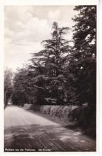 PUTTEN op de Veluwe. De Ceder. Fotoglans. 18-11, Ophalen of Verzenden, 1940 tot 1960, Ongelopen, Gelderland