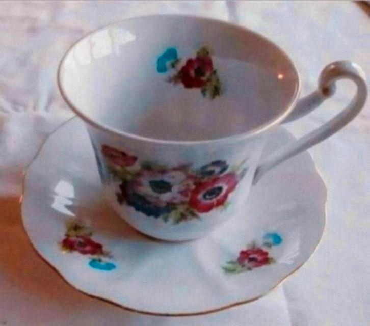 Extra groot koffie thee kopje bord anemonen rozen Rheinpflaz, Antiek en Kunst, Antiek | Servies los, Ophalen of Verzenden