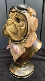 Bulldog gekleed als Piloot, Ophalen of Verzenden