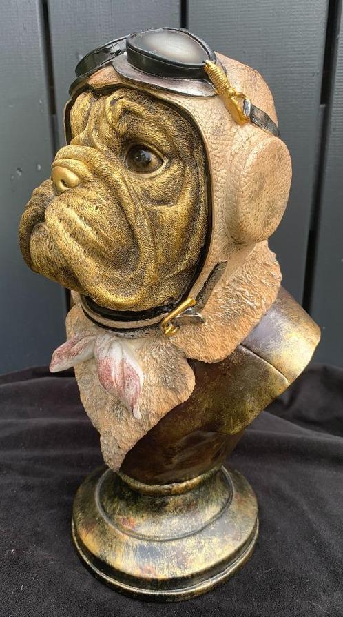 Bulldog gekleed als Piloot, Antiek en Kunst, Kunst | Beelden en Houtsnijwerken, Ophalen of Verzenden