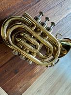 Pocket trompet Steward Ellis - Nieuwstaat!, Muziek en Instrumenten, Ophalen of Verzenden, Bes-trompet, Zo goed als nieuw