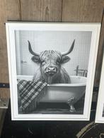 Poster hooglander in badkuip in witte lijst, Nieuw, Foto of Poster, Minder dan 50 cm, Ophalen of Verzenden