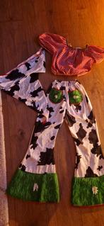 Carnavalsetje maat 152, Ophalen of Verzenden, 146 t/m 152, Meisje