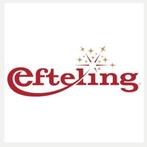 4 Efteling kaartjes en parkeerkaart, Tickets en Kaartjes, Drie personen of meer, Overige soorten, Pretpark
