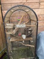 Vogel kooi, Dieren en Toebehoren, Ophalen of Verzenden, Zo goed als nieuw, Metaal, Vogelkooi