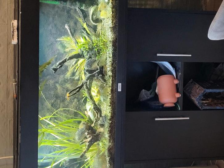 Aquarium 240 liter inclusief meubel, Dieren en Toebehoren, Vissen | Aquaria en Toebehoren, Zo goed als nieuw, Gevuld zoetwateraquarium