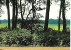 Schipborg- -Landschap., Verzenden, 1980 tot heden, Ongelopen, Drenthe