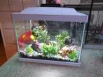 zgan superfish Tropical start 20 wit aquarium compleet, Ophalen, Zo goed als nieuw, Leeg aquarium