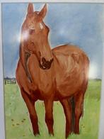 Waterverf schilderij, Paard, 40 x 30 cm, Ophalen