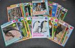 Tam Tam Tijdschriften 25 stuks 2014 t/m 2018, Ophalen, Gelezen, Wetenschap en Natuur