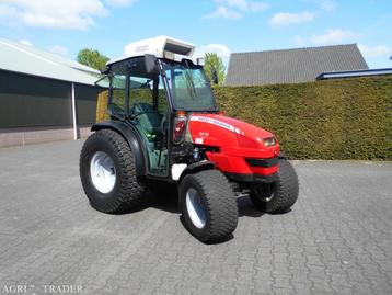 Massey Ferguson 2415 beschikbaar voor biedingen