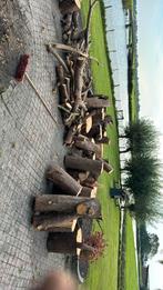 Houtblokken te koop, 6 m³ of meer, Ophalen