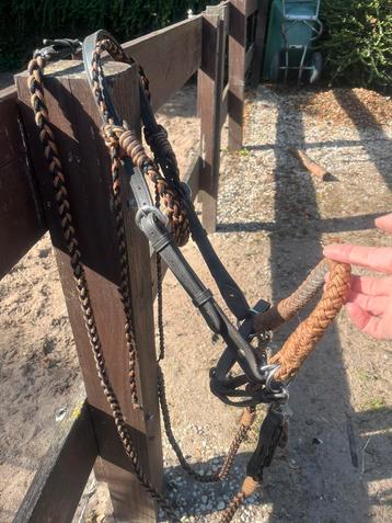 Barefoot Amber bitloos hoofdstel cob-full beschikbaar voor biedingen