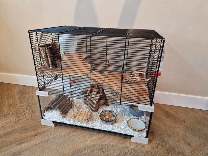 Hamsterhok, Dieren en Toebehoren, Knaagdieren en Konijnen | Hokken en Kooien, Zo goed als nieuw, Hok, Minder dan 60 cm, Minder dan 75 cm