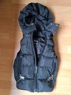 Bodywarmer malelions 104 zwart, Ophalen
