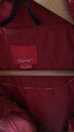 Esprit donsjas pufferjack donkerrood, Kleding | Dames, Maat 42/44 (L), Ophalen of Verzenden, Zo goed als nieuw, Rood