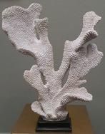 Beeld koraal ornament groot 42 cm kunst net echt, Antiek en Kunst, Ophalen of Verzenden