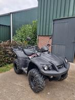 TGB Blade 325 Quad - Rijdt goed, nieuwe accu!, Motoren, 287 cc, 1 cilinder, 12 t/m 35 kW