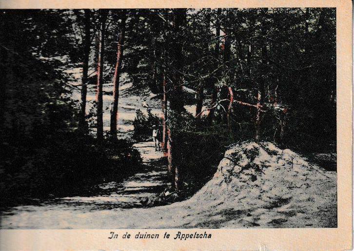 APPELSCHA - In de DUINEN, Verzamelen, Ansichtkaarten | Nederland, Gelopen, Friesland, 1920 tot 1940, Ophalen of Verzenden