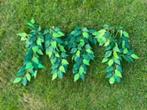 Wandplanten nep (plastiek), 4 stuks, Ophalen, Zo goed als nieuw, Tak, Plant, Rots of Steen