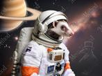 Digitale Artprint – Space Possum (Stellar trash panda), Ophalen