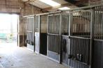 stalling westkant Woerden, Dieren en Toebehoren, Stalling en Weidegang, Weidegang, 2 of 3 paarden of pony's