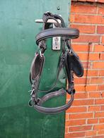 Ideal EuroTech hoofdstel pony, Ophalen of Verzenden, Nieuw, Overige soorten