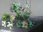 Ikea kunstplantjes, Ophalen of Verzenden, Gebruikt