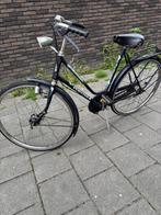 Pointer Damesfiets, Overige merken, Gebruikt, Versnellingen, 56 cm of meer