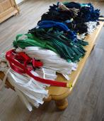 NIEUW Laat maar ritsen met de karnaval. Partij van 300 stuks, Hobby en Vrije tijd, Naaien en Fournituren, Ophalen of Verzenden