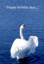 KLM zwaan, Happpy Birthday dear..., Ophalen of Verzenden, 1980 tot heden, Ongelopen, Overige thema's